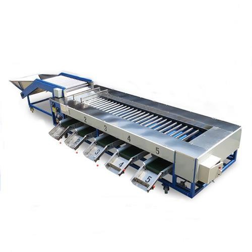 Mango-Sorting-Machine