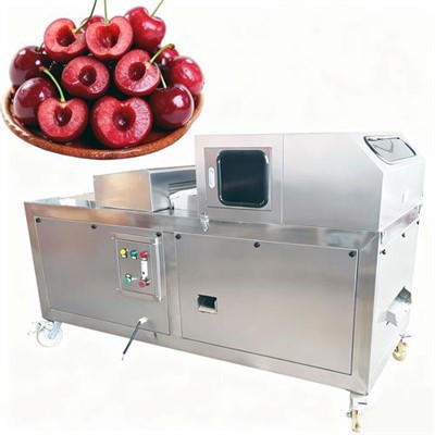 چگونه مشکلات رایج دستگاه هسته گیری هلو را عیب یابی کنیم؟